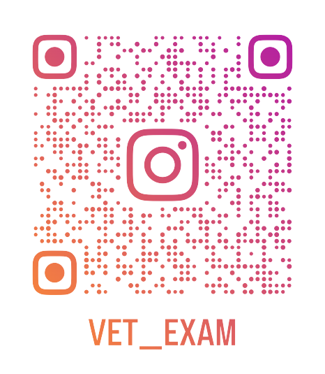 QR code Instagram