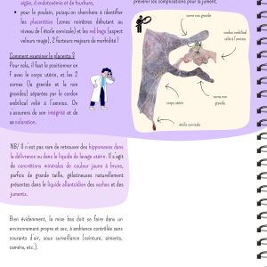 Exemple d’une page du livre de révision de néonatalogie