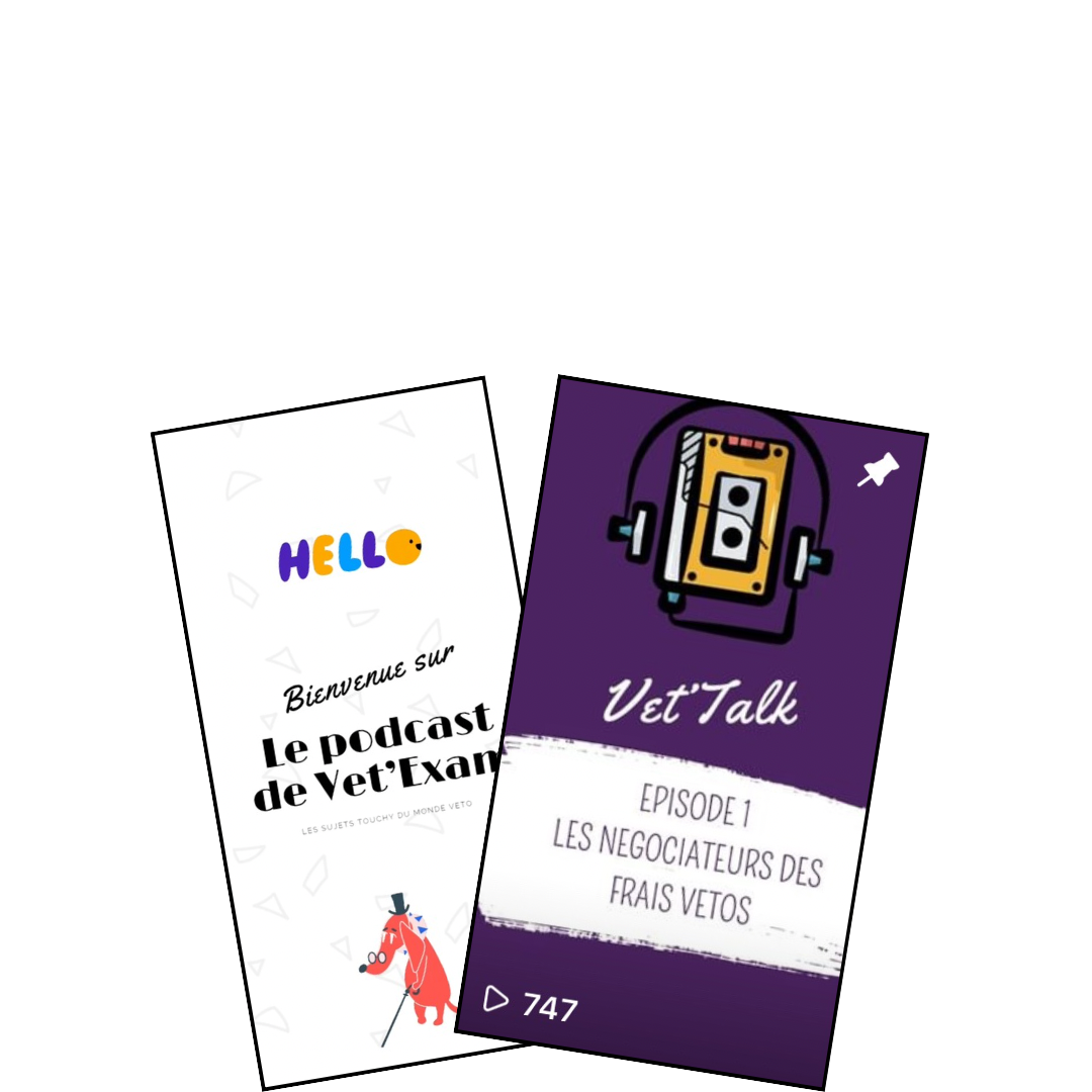 Image de l’affiche des podcasts